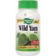 Wild Yam Root Extract 